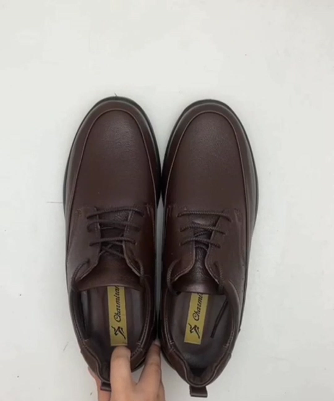 کفش روزمره مردانه چرمیران مدل فلوتر کد PM1329