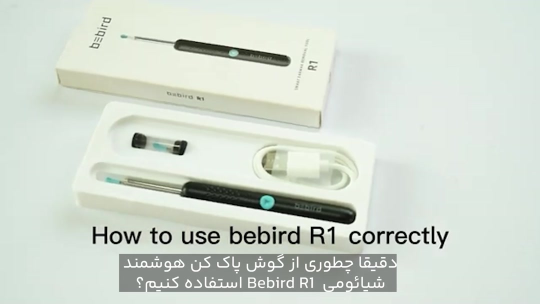 How to use bebird R1 correctly