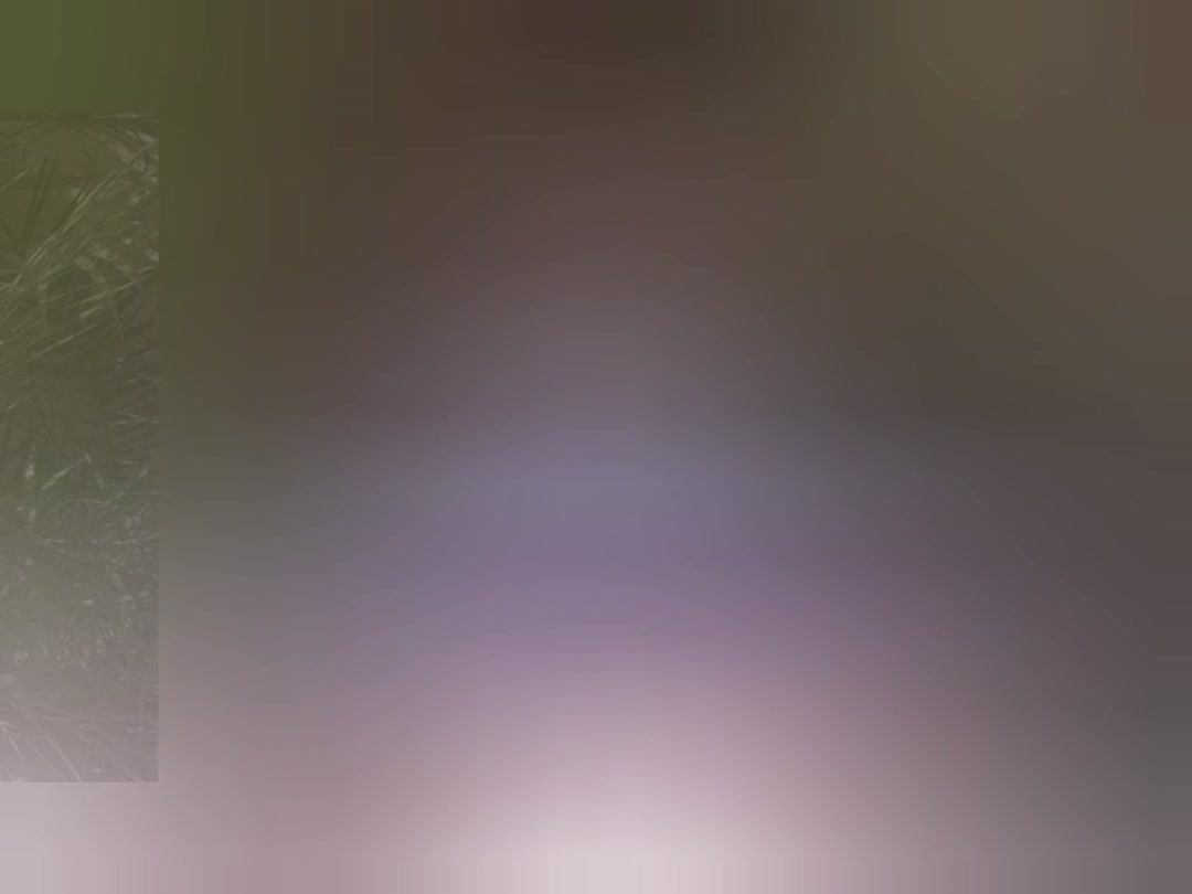 11710374